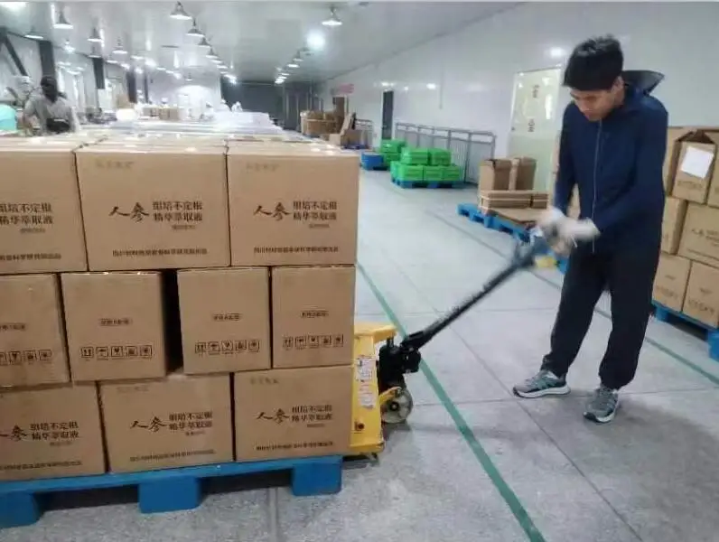 OEM mullein leaf drops supports healthy respiratory function alcohol-free respiratory system promotion natural herb syrup