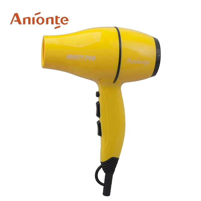 Mute function Mini professional AC motor Hair Dryer