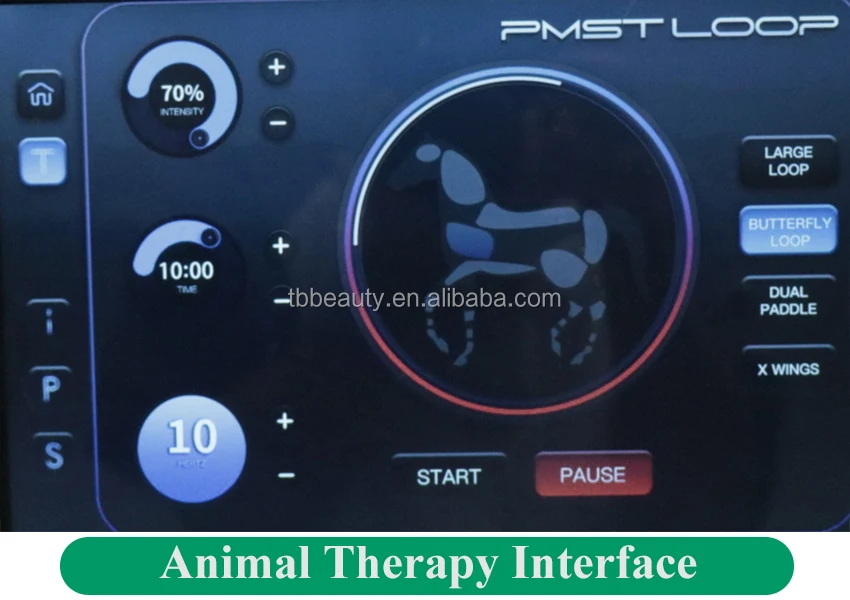Pemf Mat Loop Pulsed Electromagnetic Field Pemf Equine Pmst Loop Pro Max Magnetic Therapy For Body Pain Recovery Machine