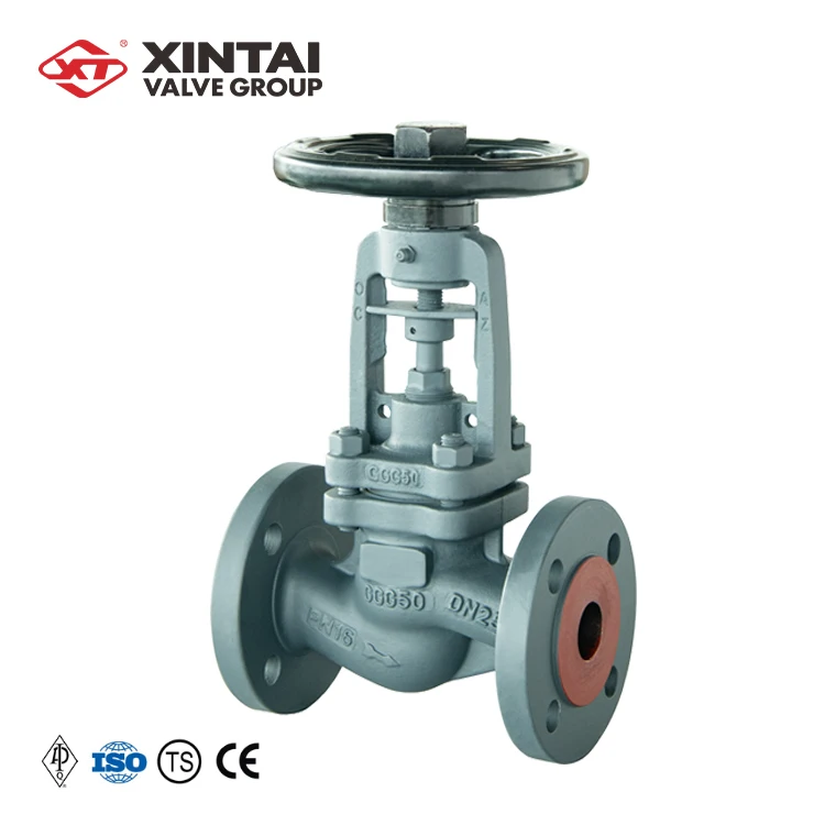 J41H-16P DN25 PN16 Custom Ductile Iron Cast Iron DIN S Pattern Flanged Bellows Seal Globe Valve