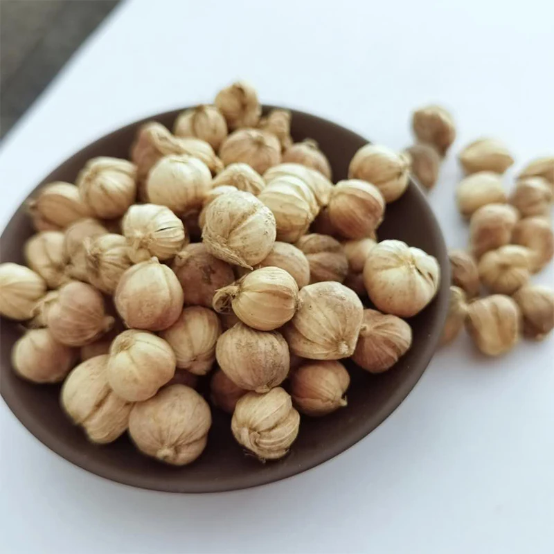 Organic Wholesale Dried White Cardamom Powder Nutmeg Herb for Cooking  100% Natural Seasoning Fresh Cardamom Seed