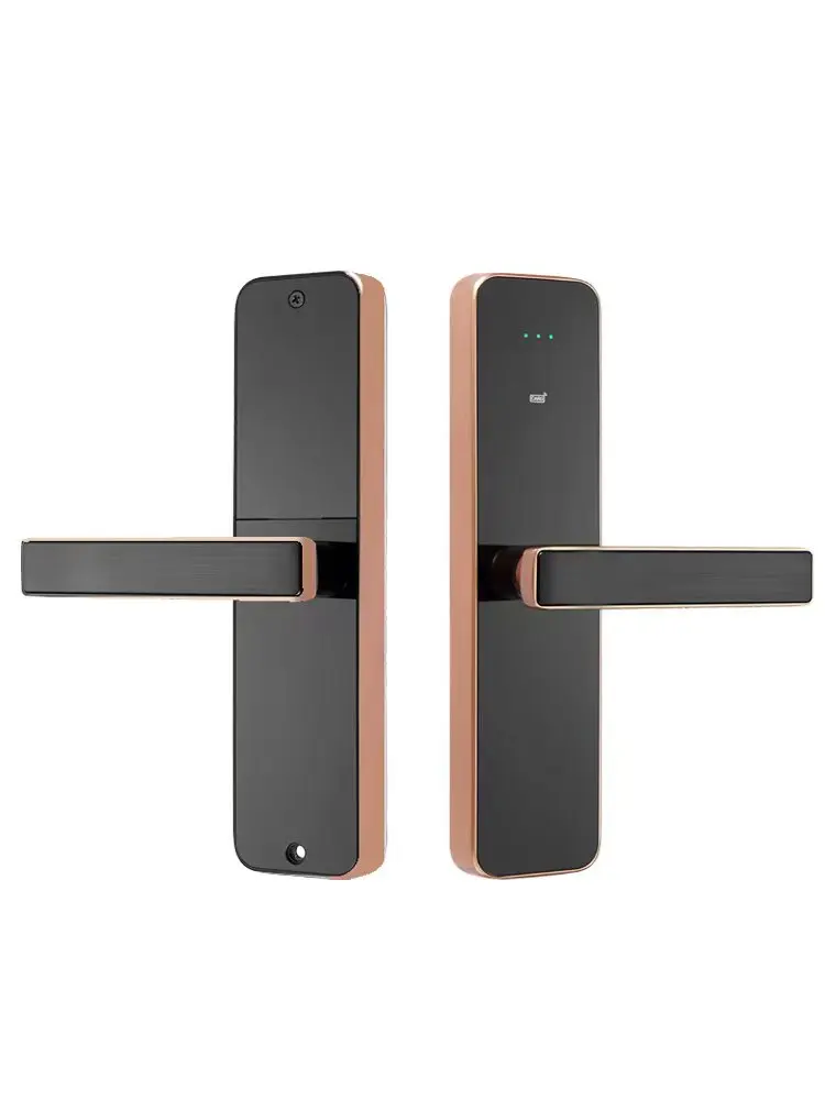 temic or M1fare cardsmart lock card swipehotel digital door lockFactory