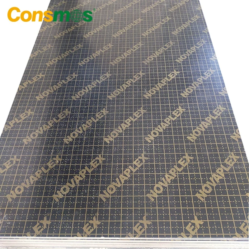 Building Material 18mm 1220x2440mm WBP Glue Waterproof Plywood Biz Standard Film Faced Plywood Board for Construction