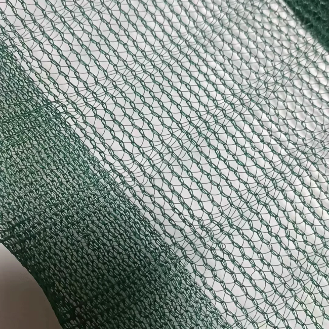 for fruit olive fruit walnut dark green olive net