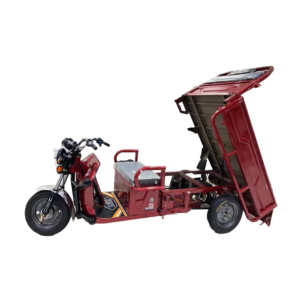 Good Quality Tricycle 3 Wheel Bike Long Braek Disk Mini Closed Cabin Car Adult Cheap 500 Kg Cargo Electric Motorcycle
