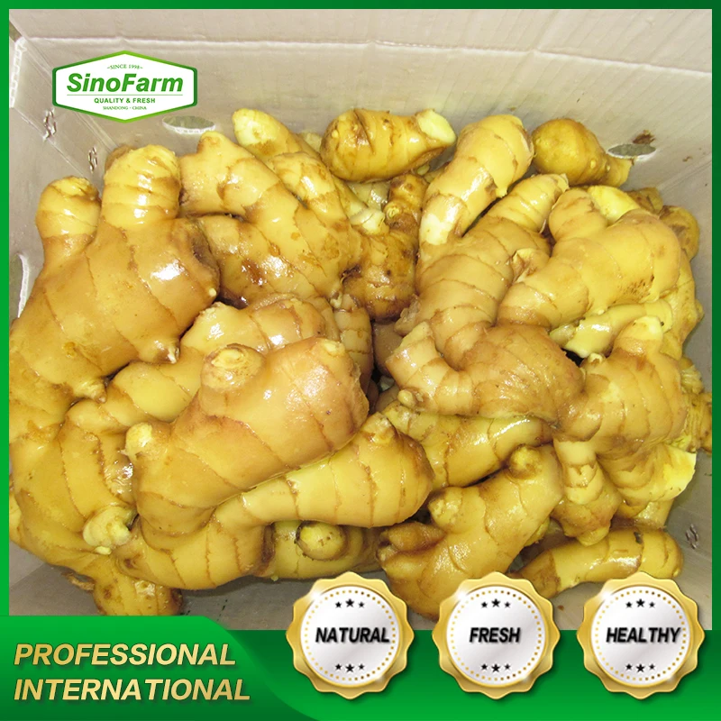 Raw Ginger Made in China Export Clear Dried Air Ginger China