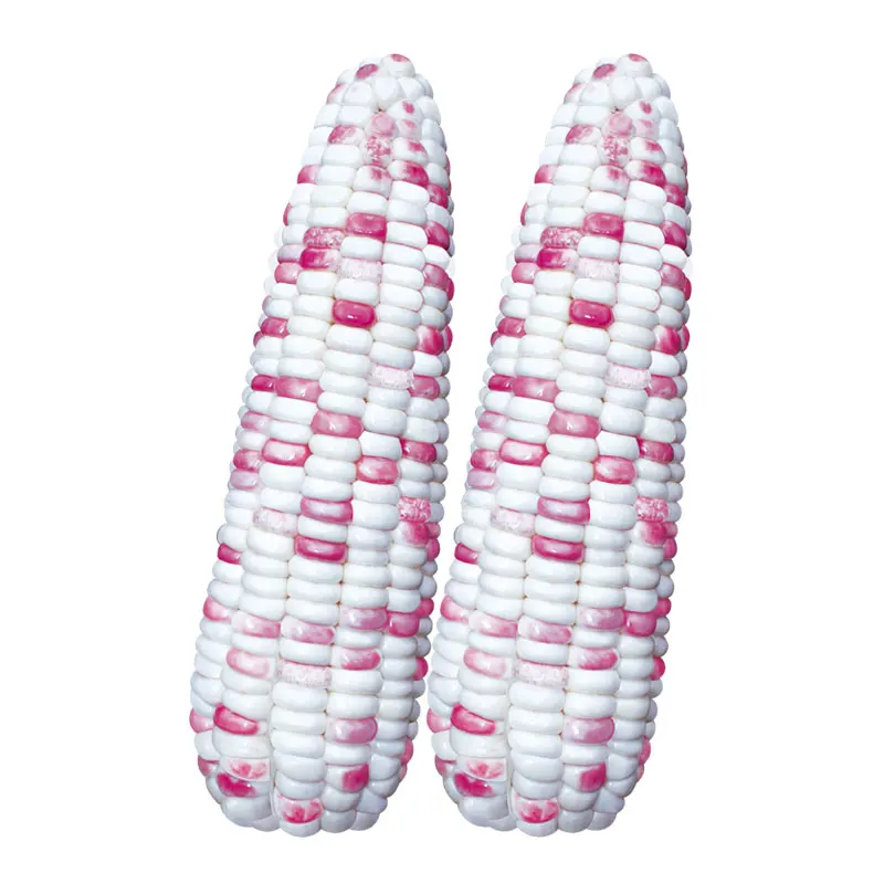 Китайские гибридные высококачественные цветные семена сладкой кукурузы