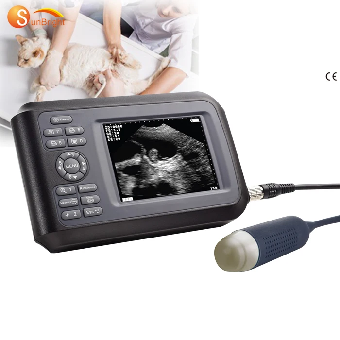 Handheld vet sonography palm size vet veterinary ultrasound scanner with sector probe