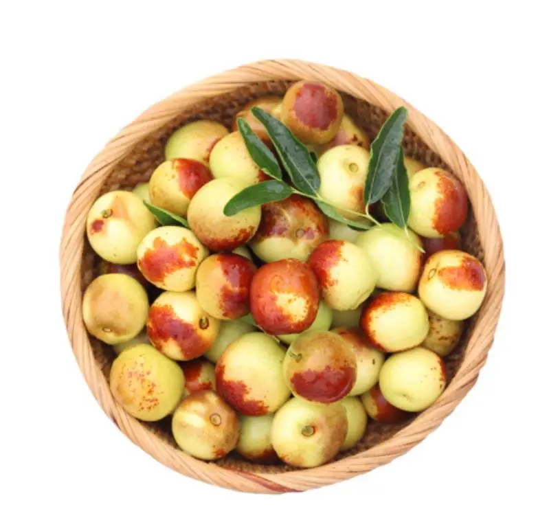 
Hot selling Chinese Fresh Round Shape Jujube Fruits in Dubai Market 
