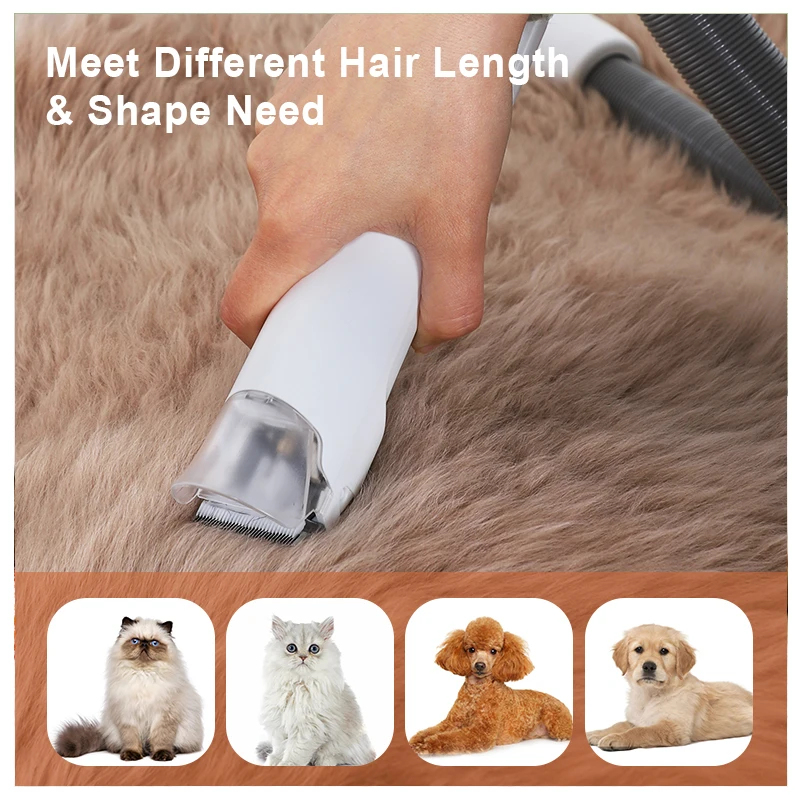 2023 New Pet Dog Cat Short Long Hair Brush Fur Grooming Kit Pet Vacuum Cleaner