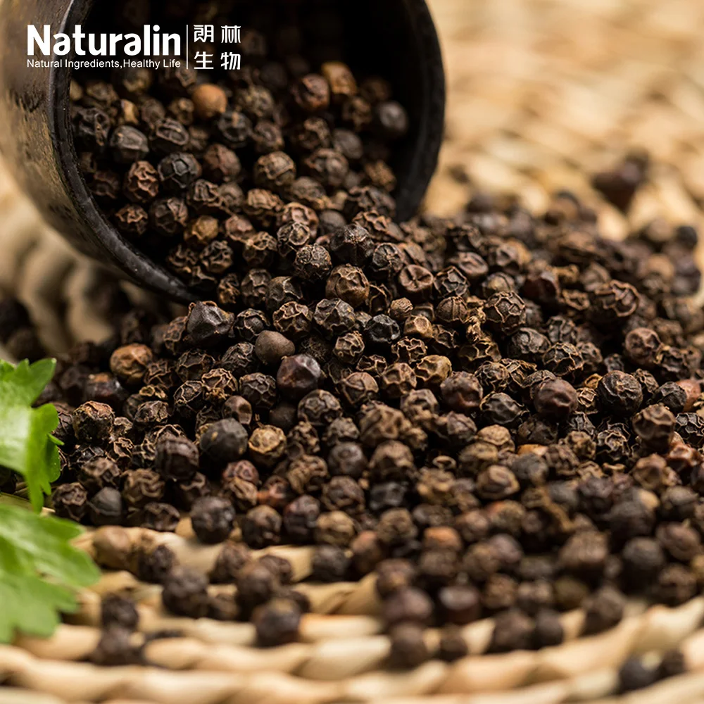 Naturalin  Wholesale High Quality Health Supplements Piper Nigrum  L Black Pepper Extract 95% Piperine