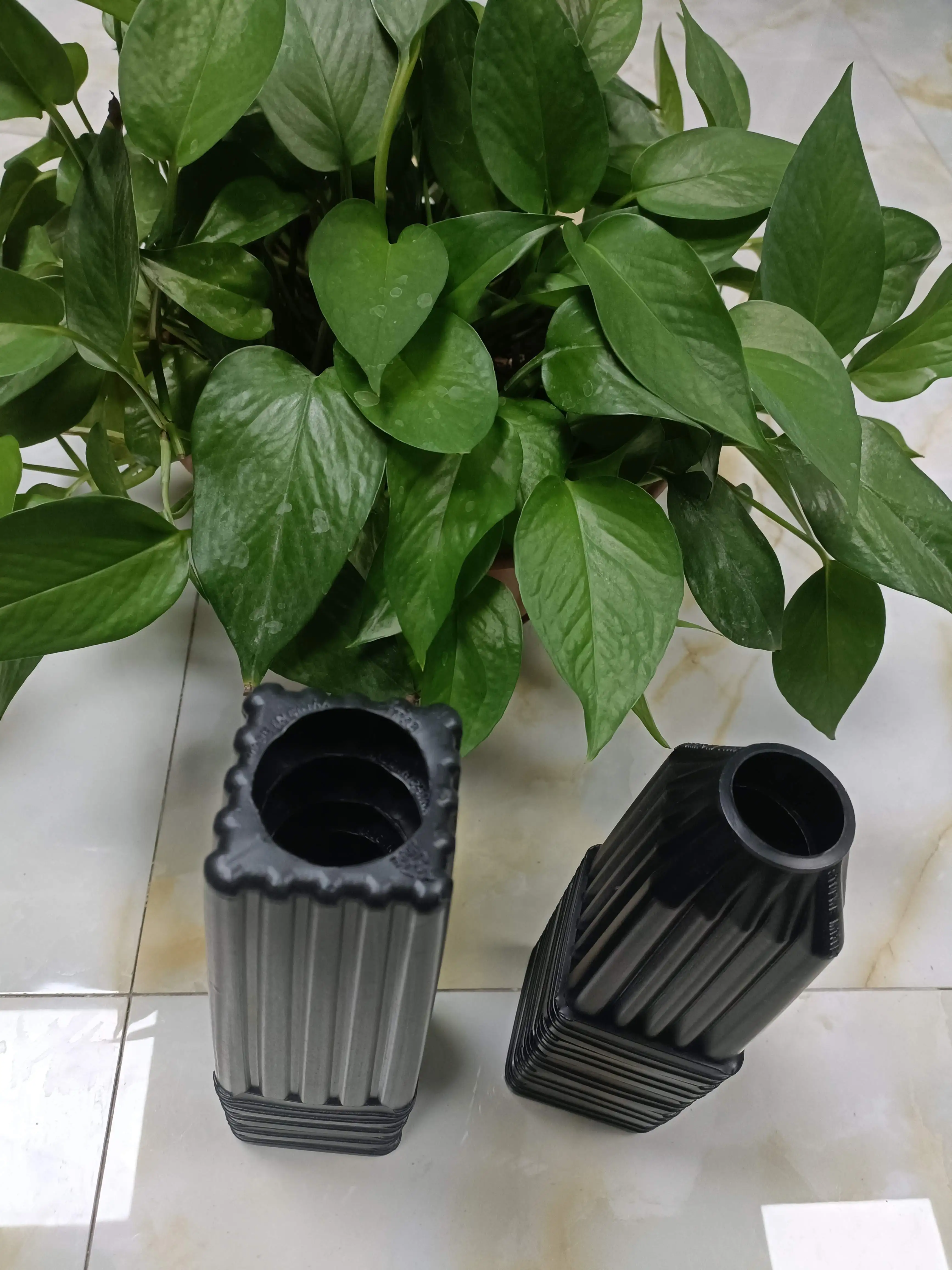 PE Black Mini Tree Pots and Trays