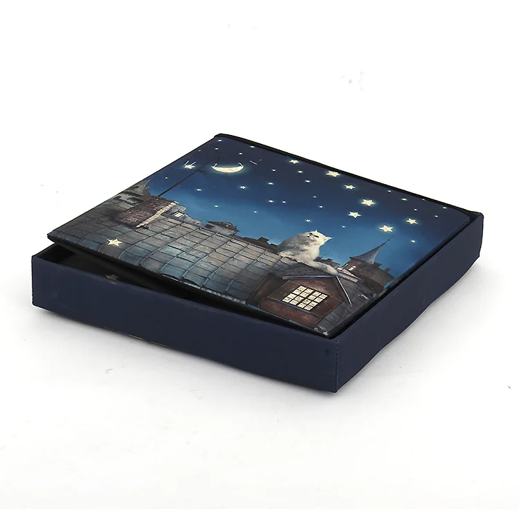 Customized Blue Star Cartoon Cat Foldable storage ottoman with LED Design for living room