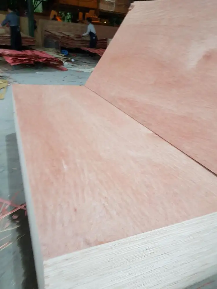 Red face OKUME face BINTANGOR face 4-20mm x 1220 x 2440 size vietnam manufacturer grade AA BB  PERFECT quality PACKING PLYWOOD