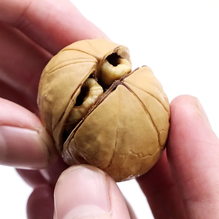 Заводская цена, сыпучая упаковка, необработанный орех, тонкокожный орех