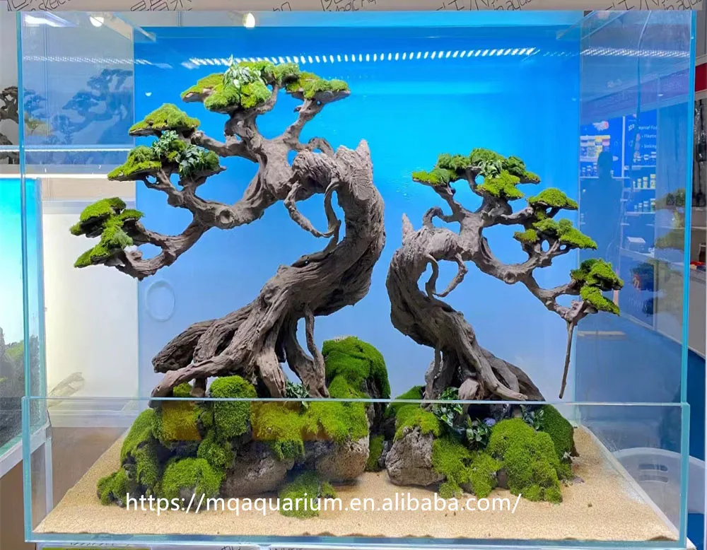 Natural drift bonsai Brazil tree branche roots driftwood aquarium wood for Aquascaping
