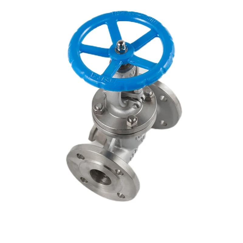 Factory Direct Stainless Steel Globe Valve Chemical High Temperature Resistant Plug Type Globe Valve