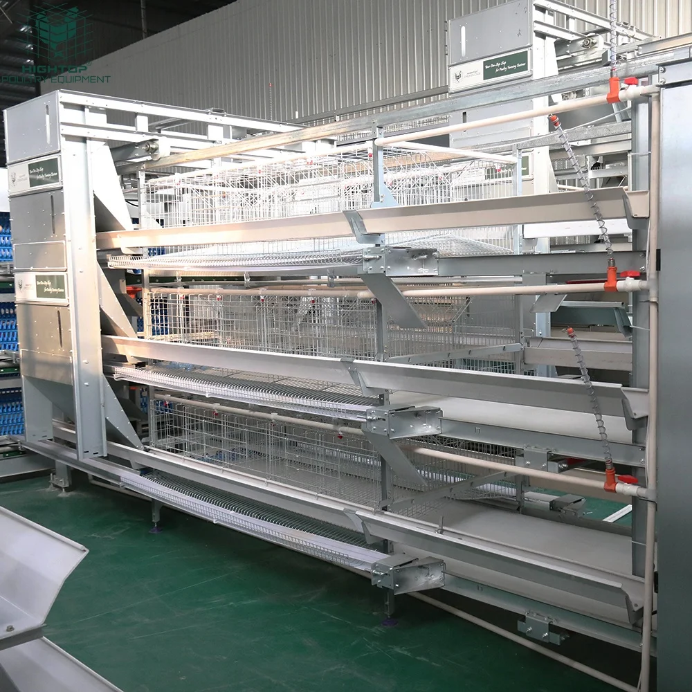 Fully Automatic Poultry Farming Equipment H Type Laying Hens Cage Battery System Egg Layer Chicken Cages