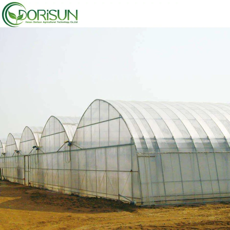Tunnel greenhouse for vegetable greenhouse frame multi-span tomato greenhouse for fruits/vegetables
