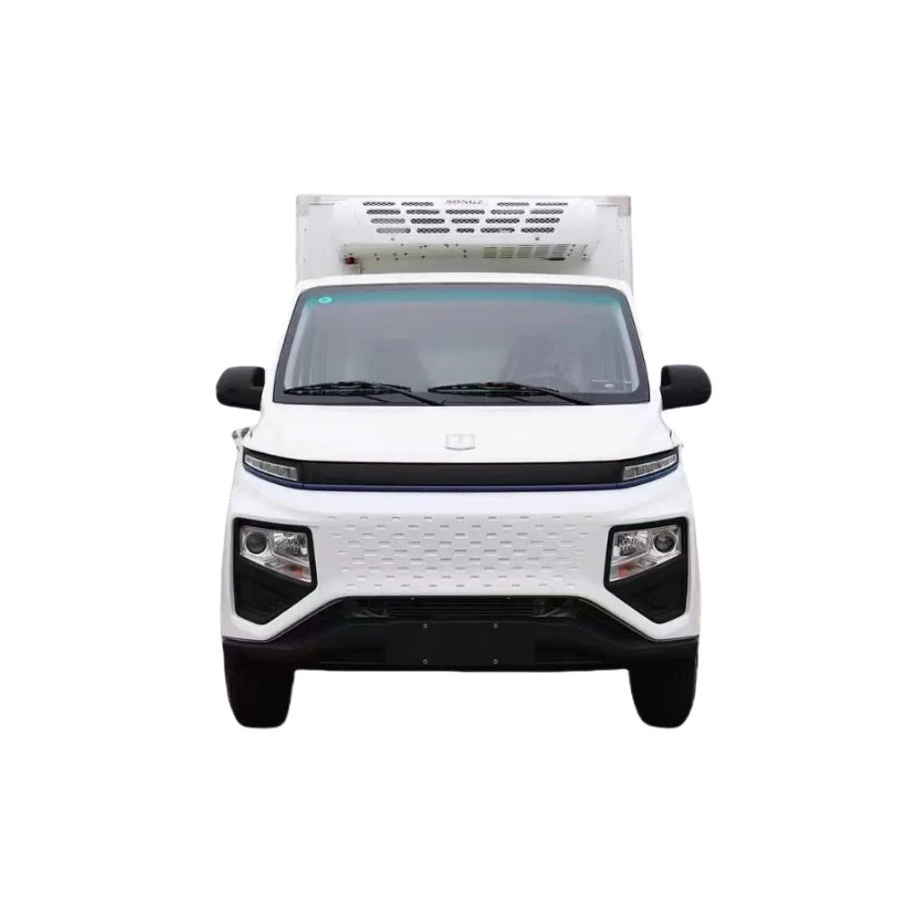 Hot selling 2 tons gasoline Foton mini refrigerated truck freezer small refrigerated box truck price new ice cream truck price
