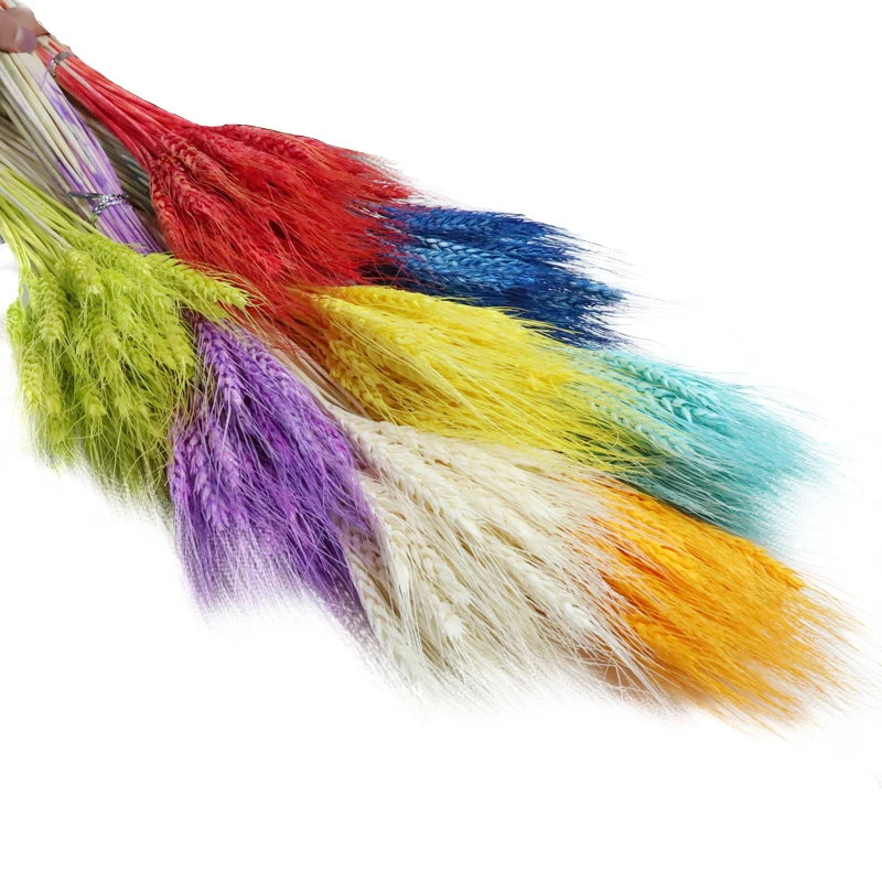 Сушеная трава Юньнань букет натуральных растений уши натуральной пшеницы основной цвет Свадебный магазин украшение для дома