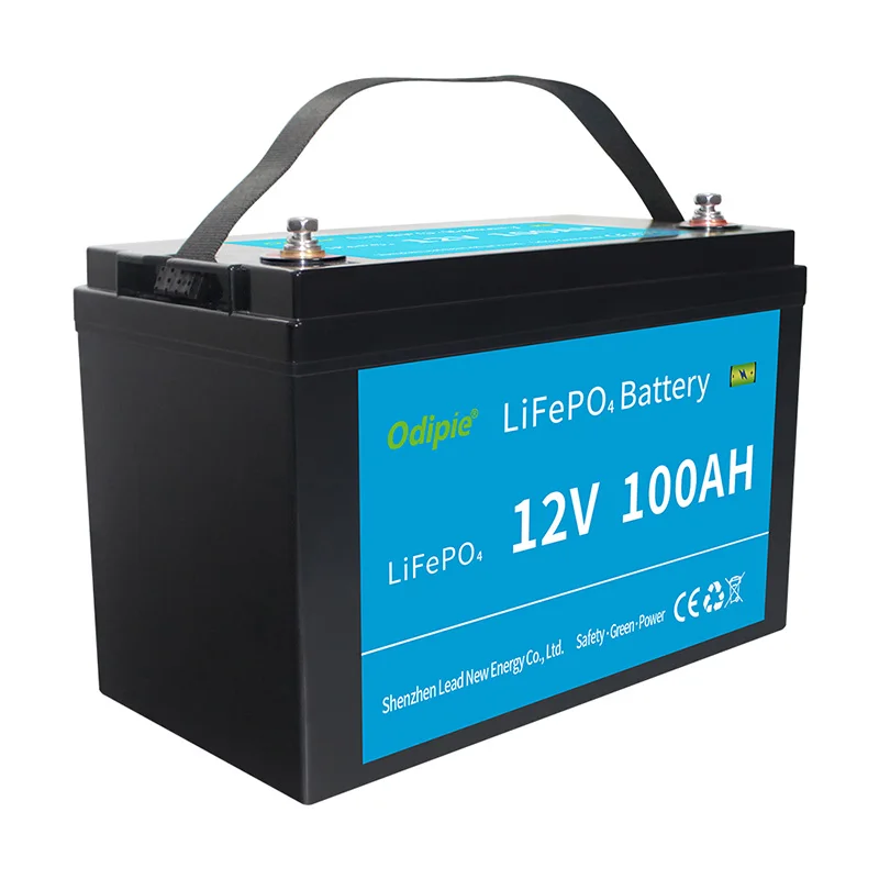 Deep Cycle  Lifepo4 Lithium Iron Phosphate Battery Pack 12V 24V 100ah with BMS for RV Electric Car Scooter Motorcycle Boat