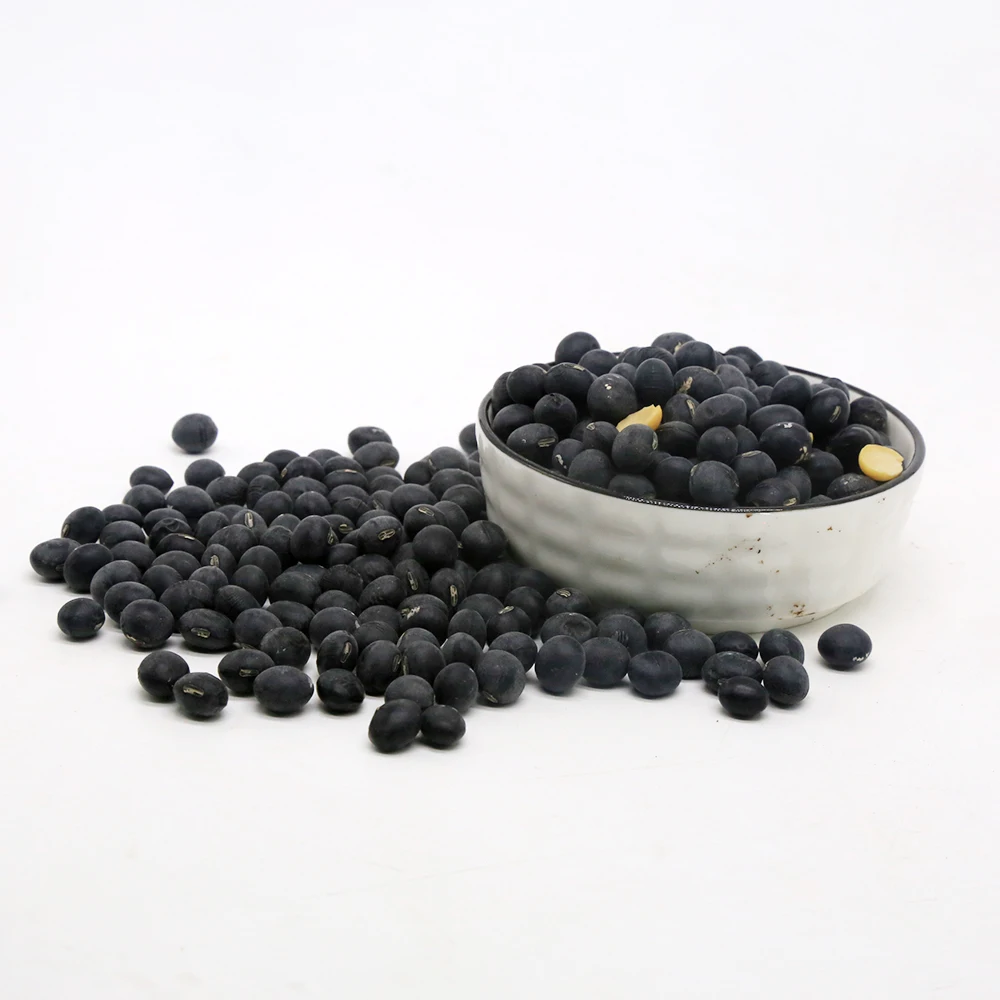 New crop soy bean dry bean yellow kernel green kernel black bean