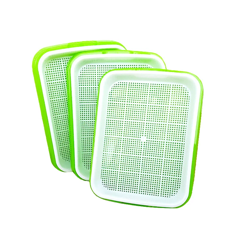 Hot Sale Perforated Home Kitchen DIY Bean Sprouts Culture Plastic Tray Hydroponics Seedling Tray