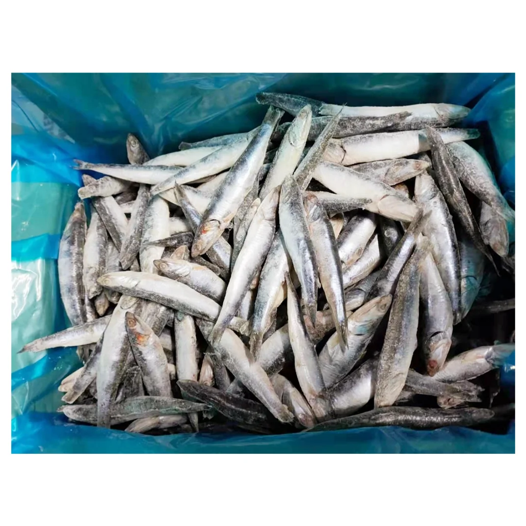IQF sardine  whole round frozen for fishing bait