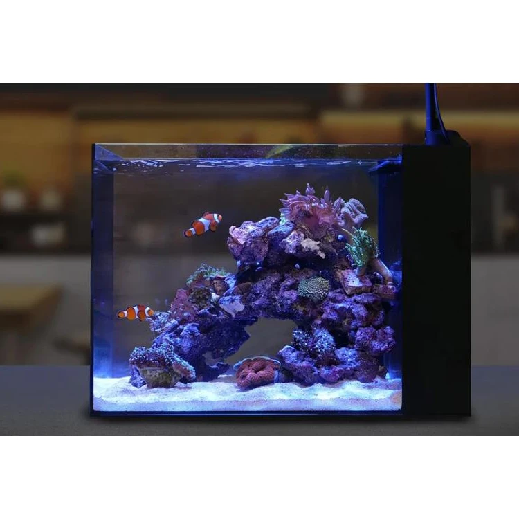 custom made fresh water glass transparent air pump aquarium for pet