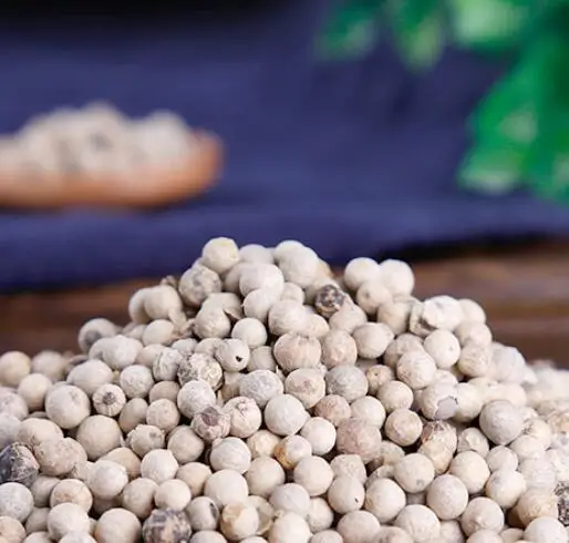 
Bai hu jiao new dried top level white pepper fruits Fructus Piperis 