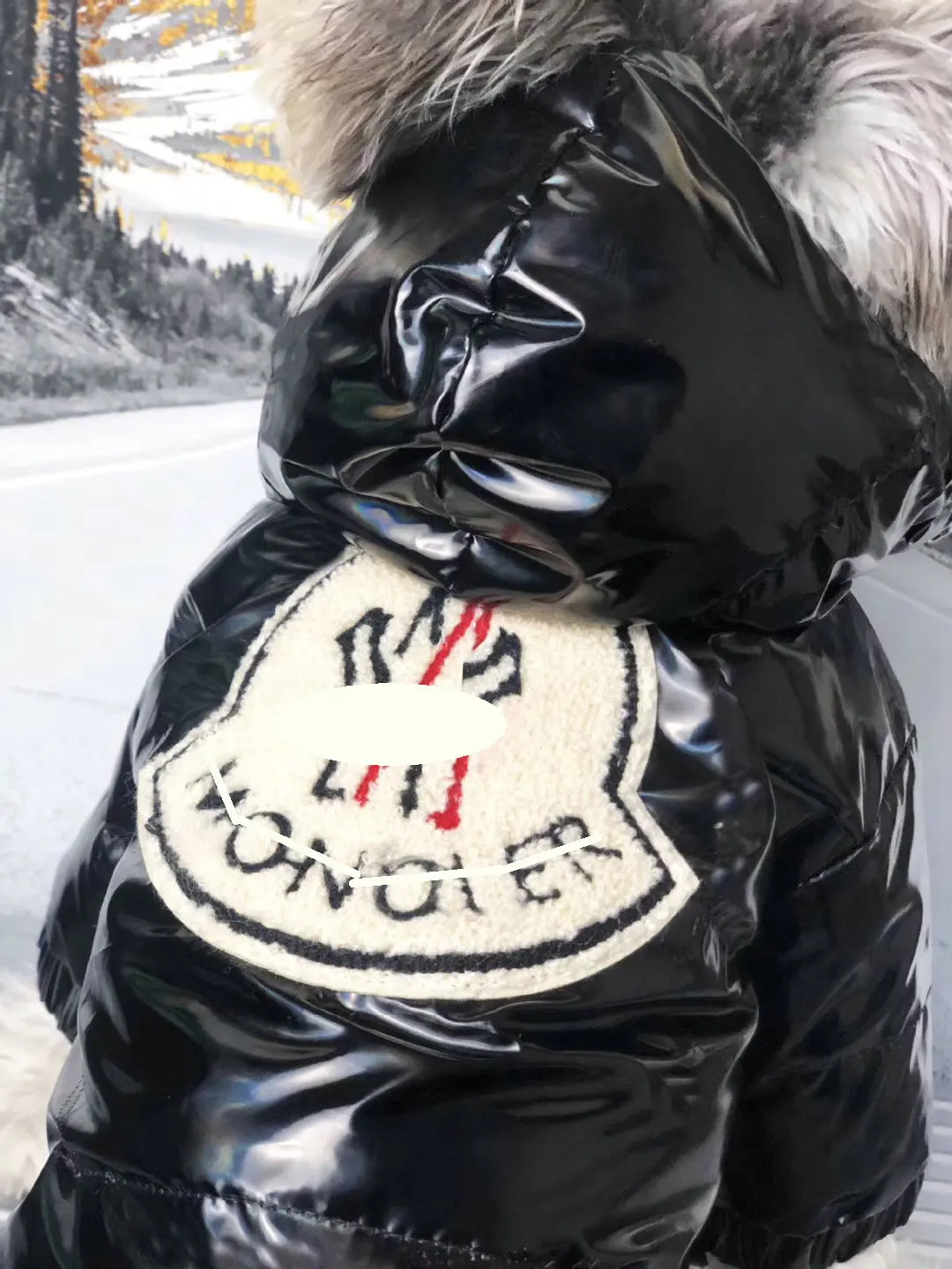 JXANRY Dog Popular Logo Down Coat Pets Winter Clothes Pets Down Jacket Teddy Coat Schnauzer with Fluffy and Thick Inner