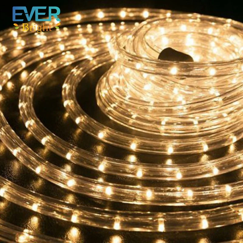 10m 50m 100m waterproof Warm White led rope light for outdoor christmas decorations
