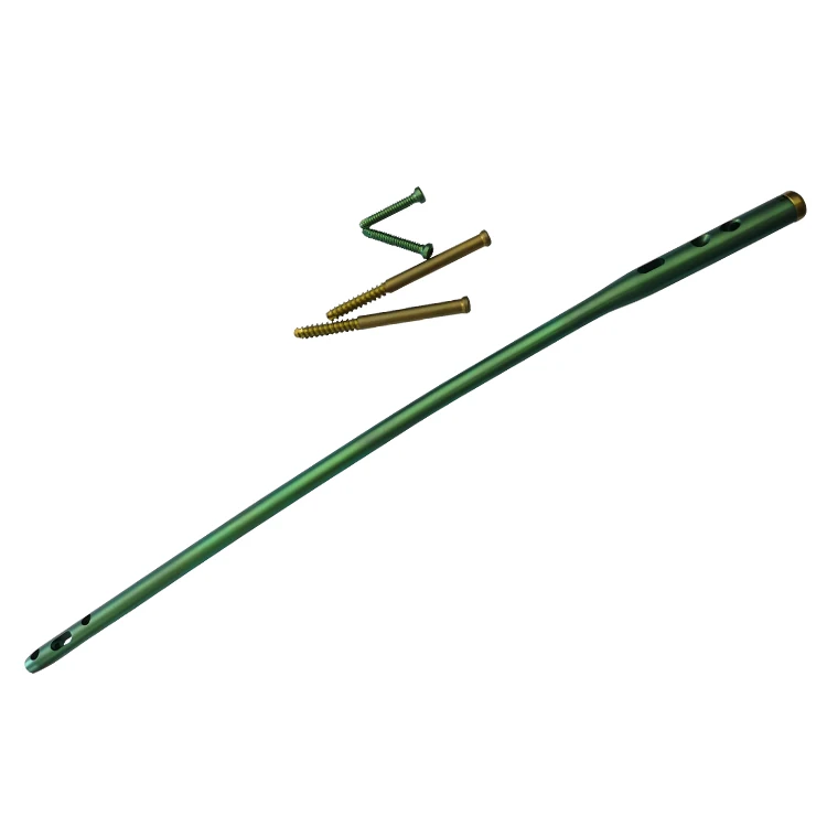 Elastic intramedullary nail   implant for safe stable fixation