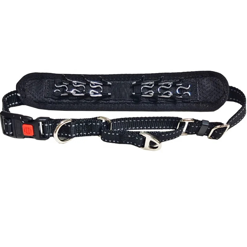 Quick Release Detached Stainless Steel Choke Chain Dog Training Collar with Rubber Tips Personalized Size for Stimulation