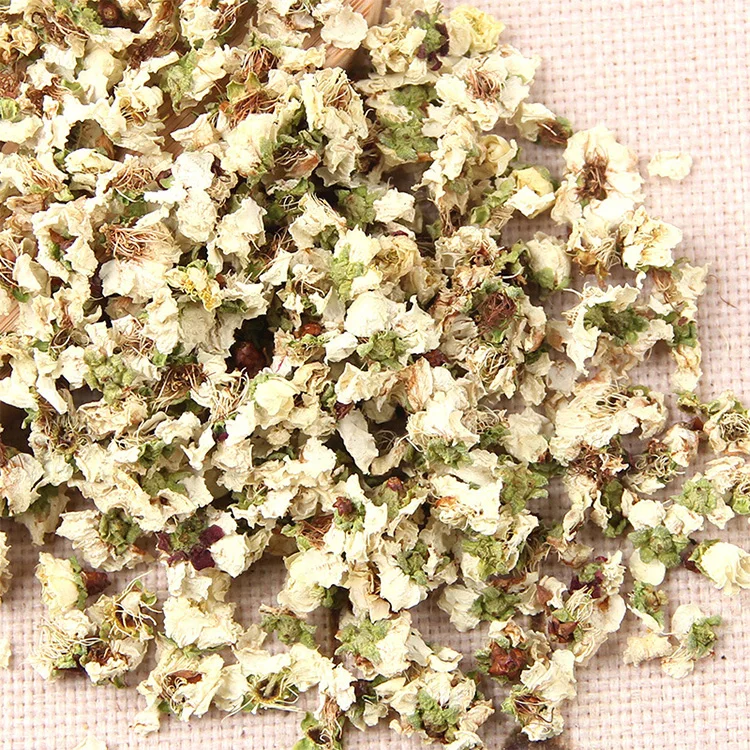 Flower Dried Plums Plum Tea Flower for Tea Herbal Floral DIY Craft White Plum Blossom Tea