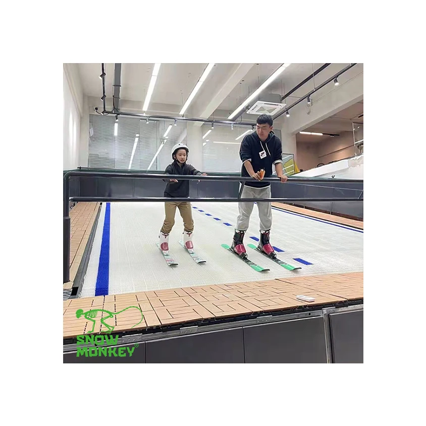 Wholesale High Quality Snow Sport White Engineering Plastics Endless Pro Ski Machine