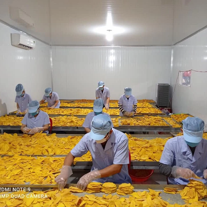 Wholesale Dried Fruit Healthy for export 500gr/ 1kg zip bag (Mobile/ WA: +84986778999 David)