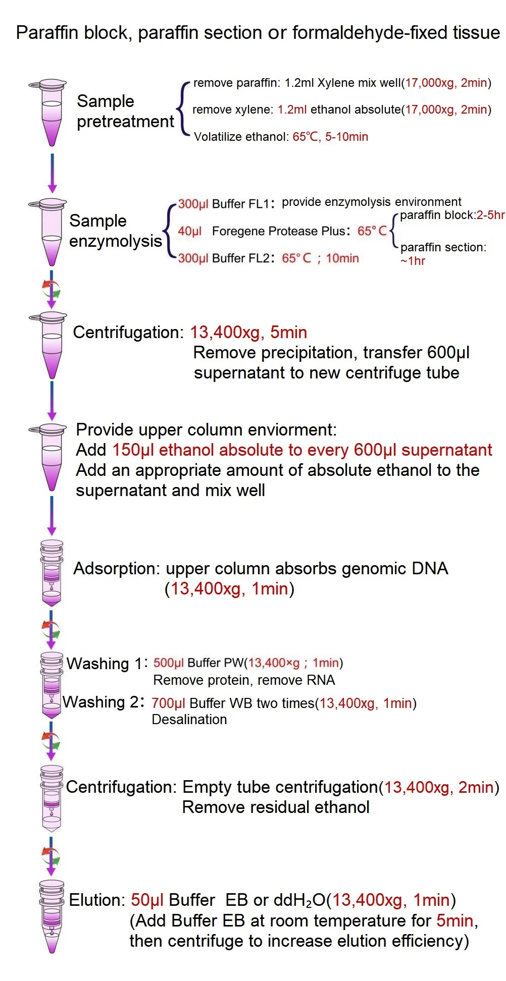 FFPE DNA Isolation Kit.jpg
