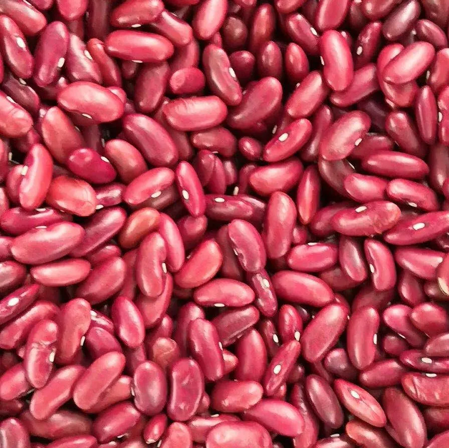 Органические фасоли Pinto beans