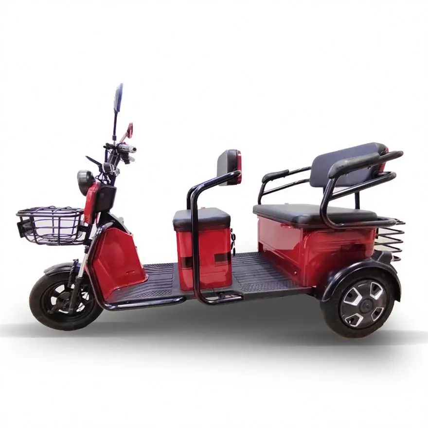 Easy to Operate Recreational Electric Trike for Passengers