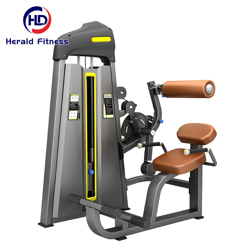 Distributor Wanted Dezhou Exercise Crunch Cable Strength Machine Trainer Abdominal Back Extension With 1 year warranty