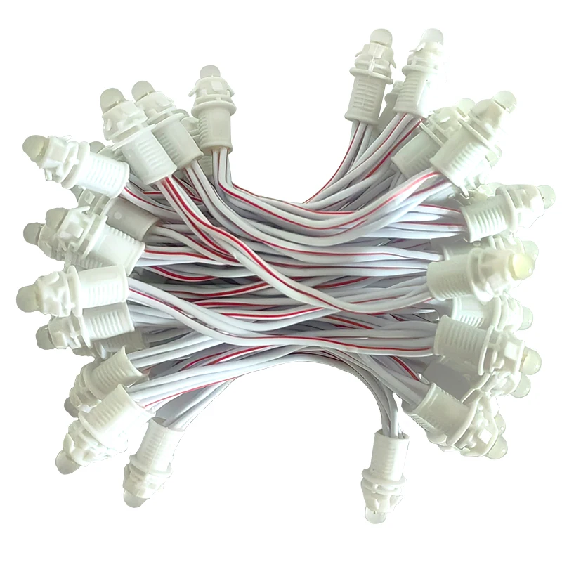 IP67 Frosted Pixel Lights Per String Waterproof DC12V 9mm Led Pixel 0.2W 50pcs PC DC 12V Technology Garden 80 RGB Energy Star 5M