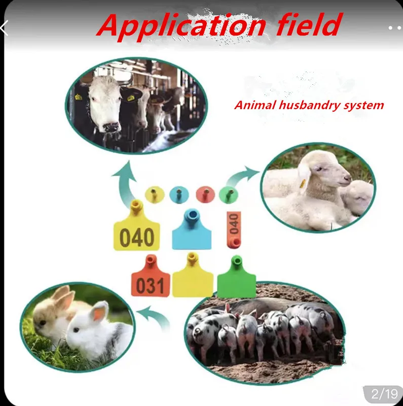 Wholesale   animal  livestock cow pig sheep ear tag  identification number