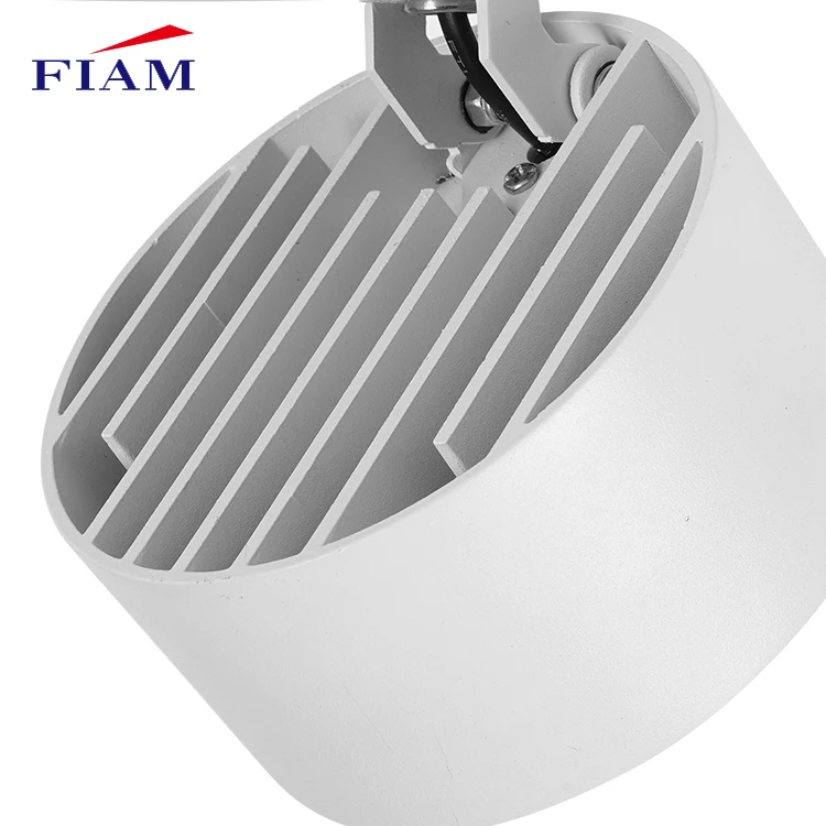 Adjustable downlight Indoor Surface Mounted Ceiling 10w 20w Cob Round Led Down Light