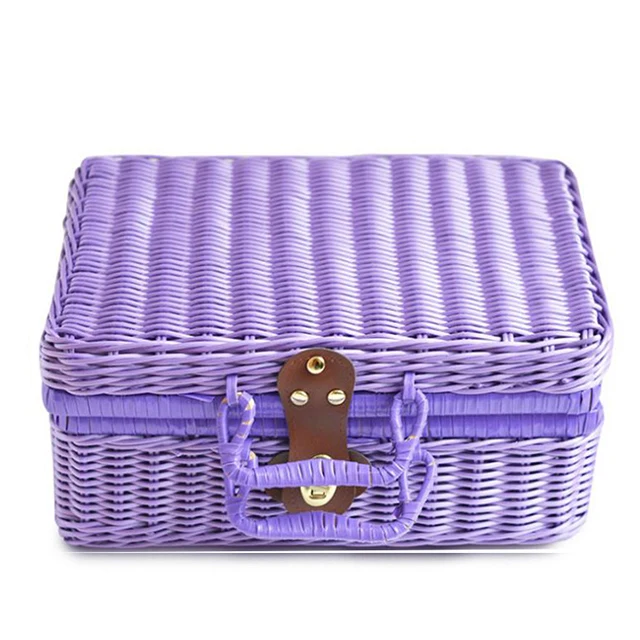 Renel Eco Friendly Woven Plastic PE Rattan Mini Kids Empty Weaving Picnic Basket