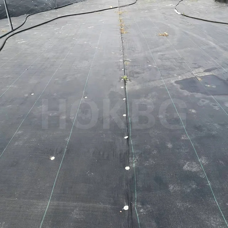 HOKBG Factory Geo Greenwall Geotextile Silt Curtain Geotechnical Fabric for pond