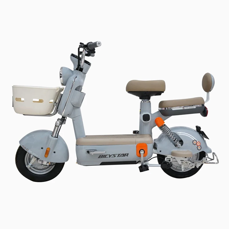 Bicycle Electric Professional Chinese Manufacture Cheap Fast Lead Acid Electric Bike With Two Wheels
