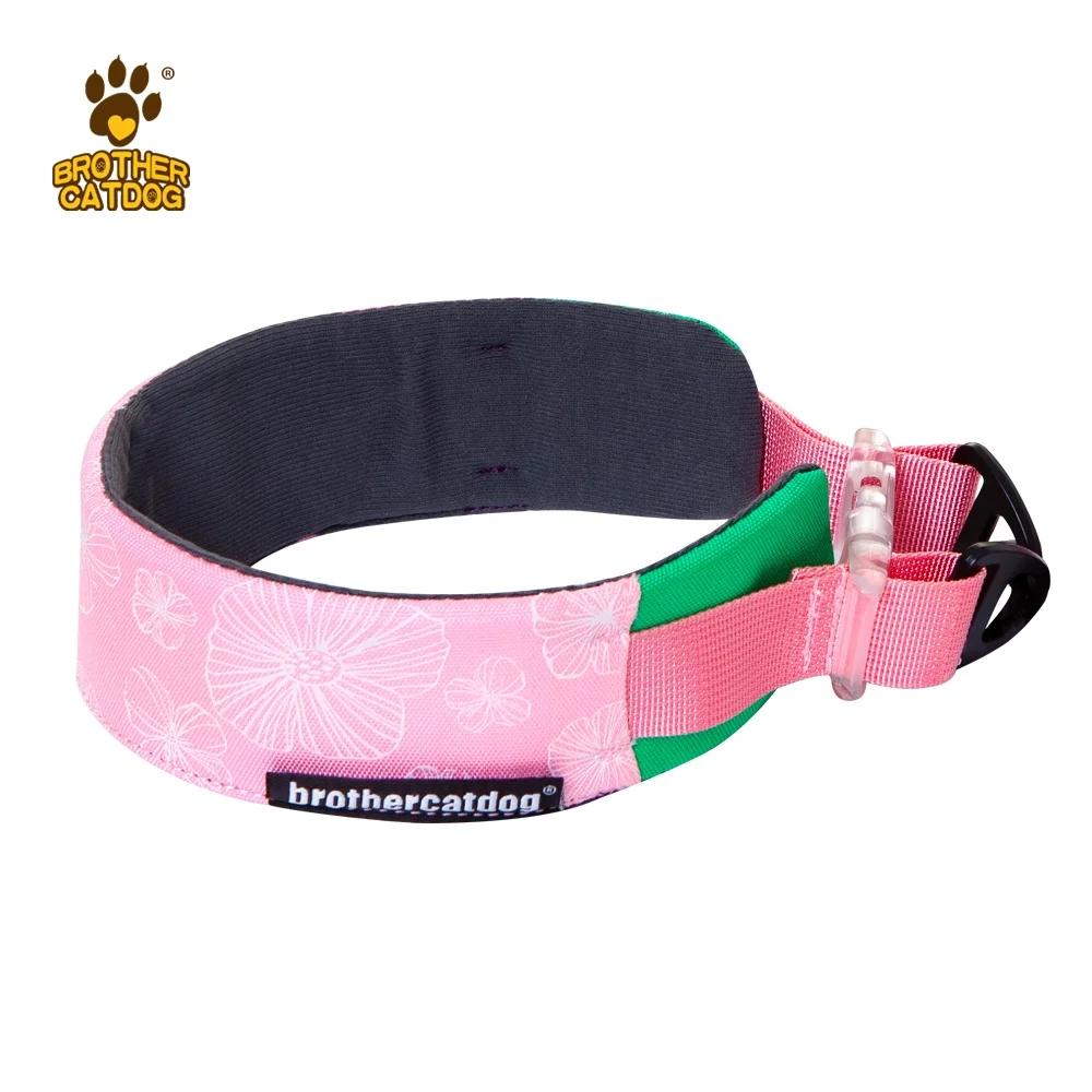 custom brand name Outdoor walk Dog Collar fashion color pet attractive dog collar