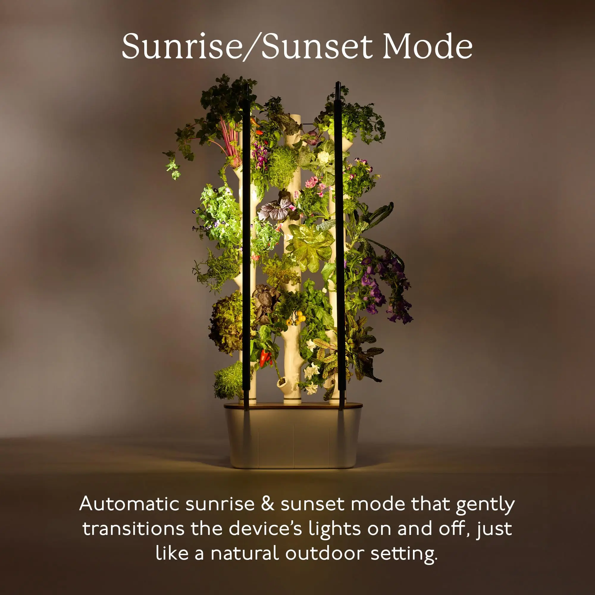 Factory Price Gardyn Vertical Garden Planter LED Lamp Indoor Desktop Gardening System for Home Decor for Outdoor Application